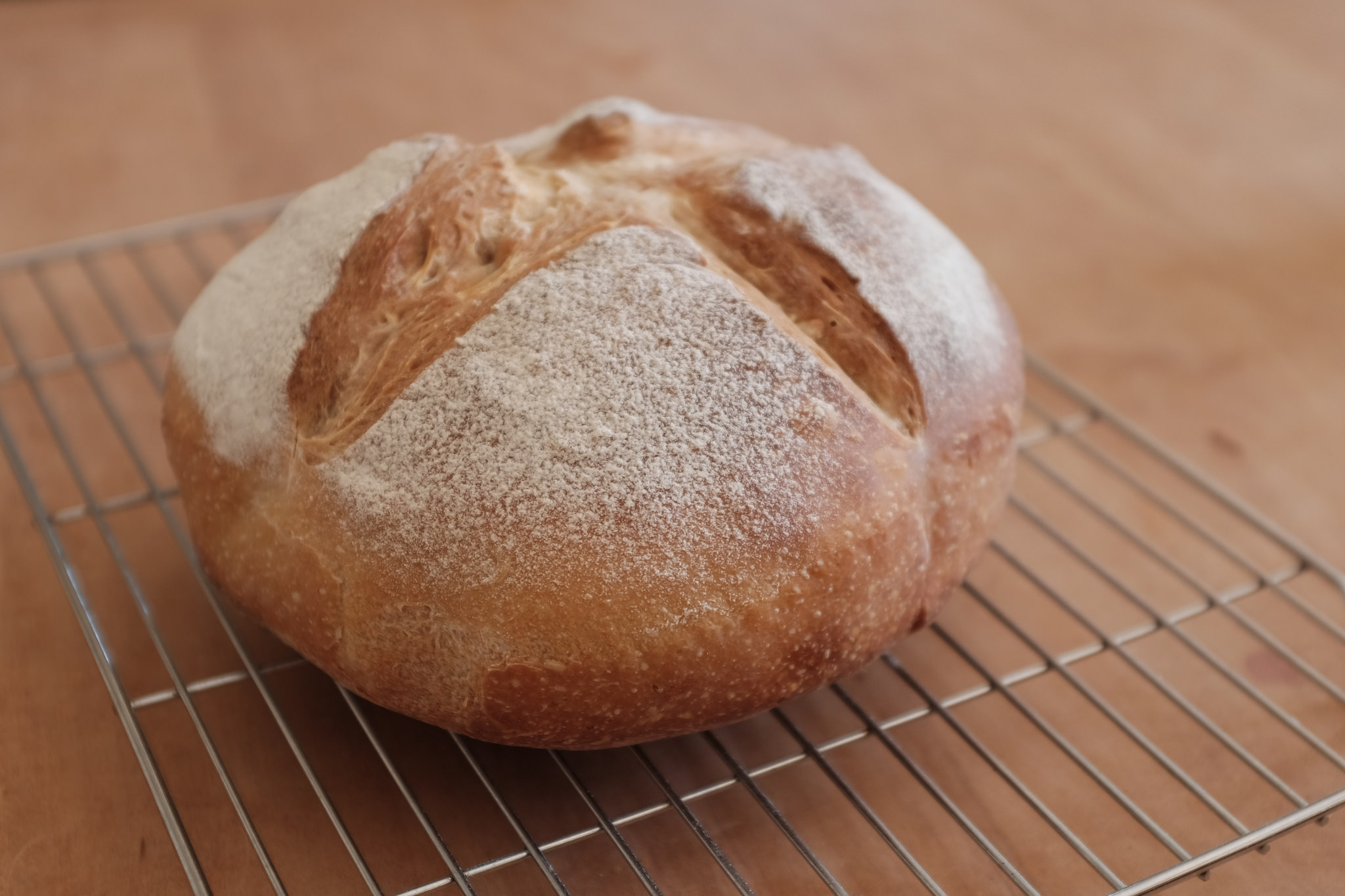 Sourdough Starter Edible Seattle